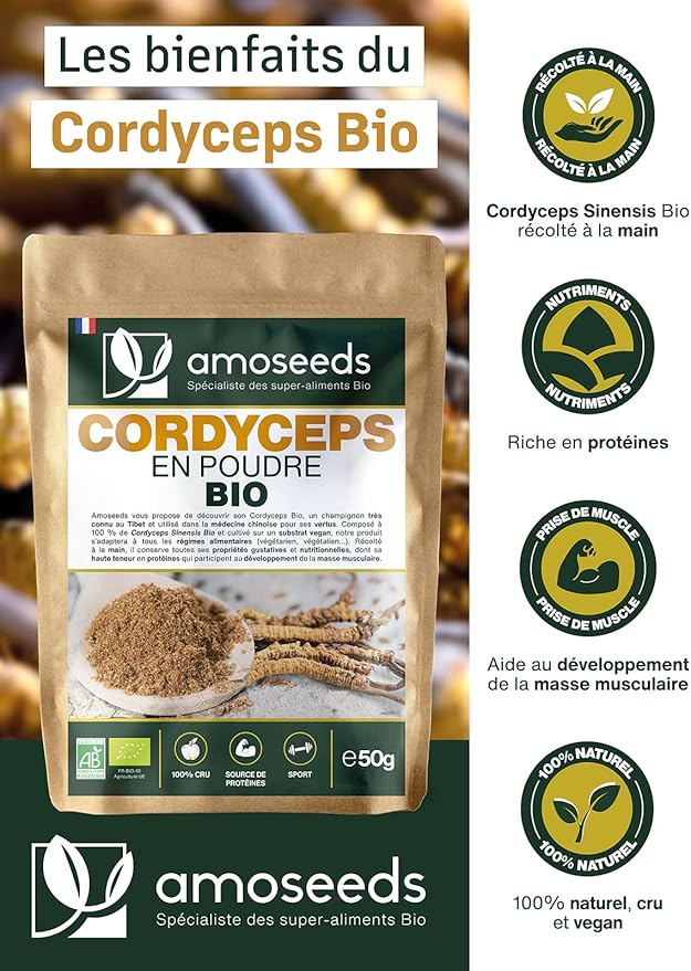 Cordyceps en Poudre Bio Santé Originelle