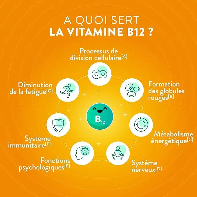 Vitamine B12 Vegan 1000 mcg - Méthylcobalamine Brevetée Pure & Biodisponible - Haute Absorption - Anti Fatigue & Immunité - 120 gélules Sans Gluten - Nutri&Co - Conditionné en France Santé Originelle